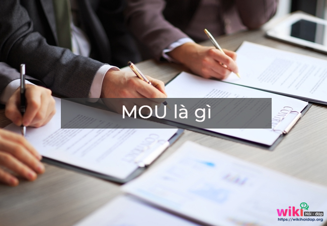 Mou Là Gì