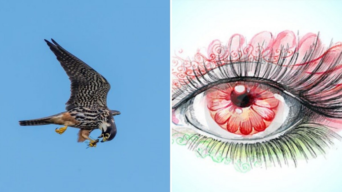 Thiết Kế Không Tên (3)