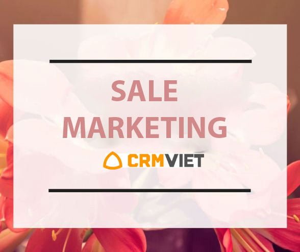Sale Marketing là gì?