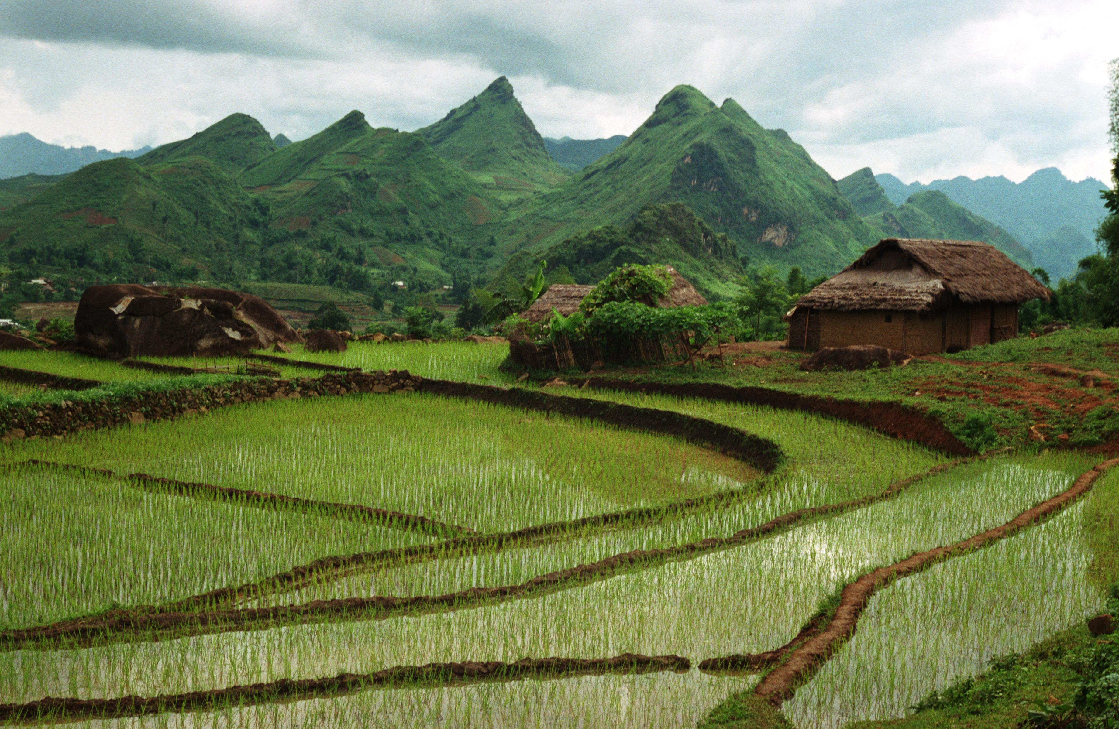 Đất đai và tập quán | Open Development Vietnam
