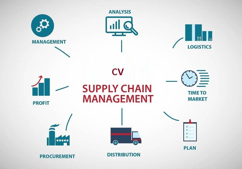Cv Supply Chain Manager, Timviec365.com